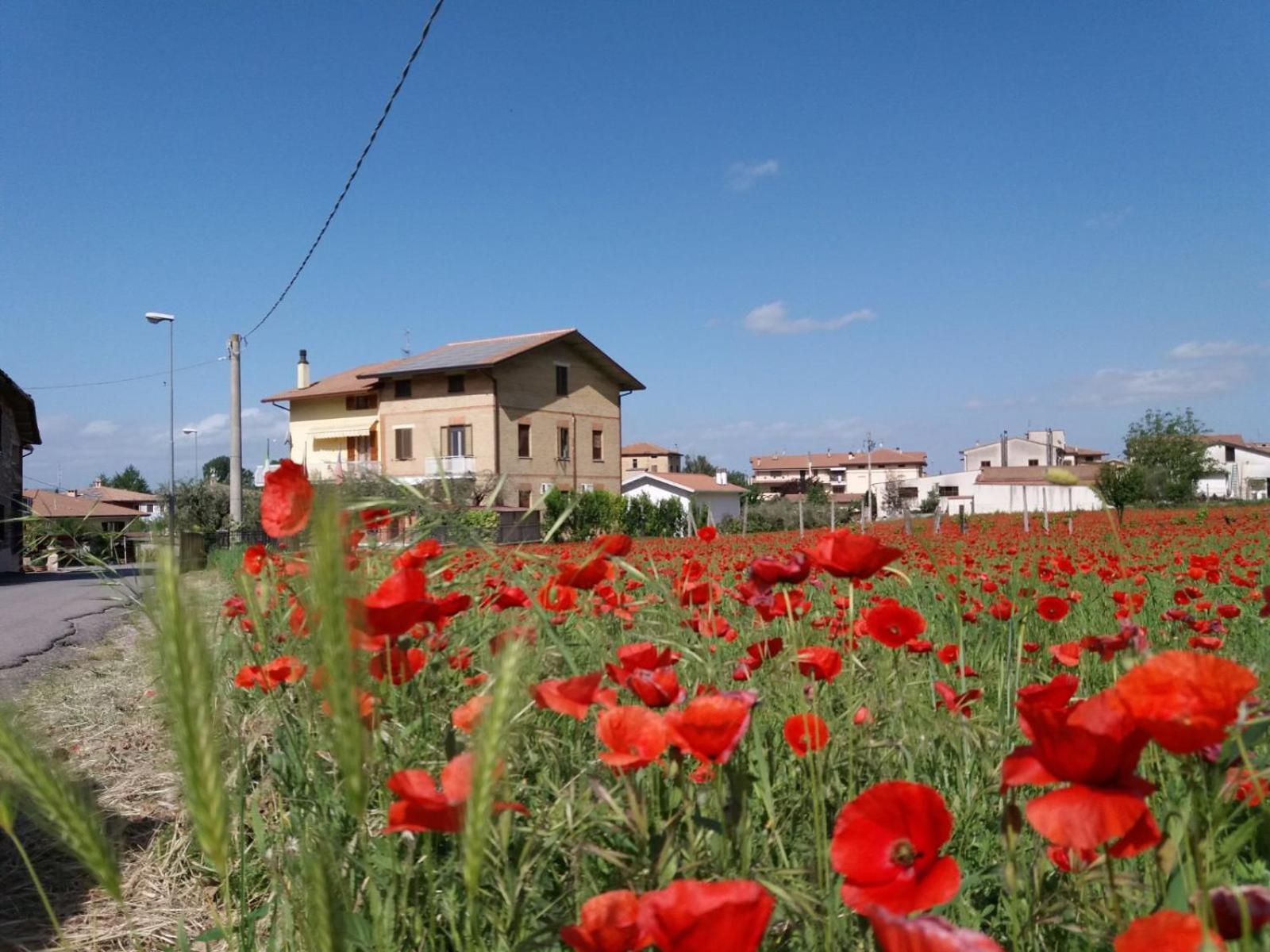 Bed & Breakfast Ciancaleoni Rivotorto Dış mekan fotoğraf